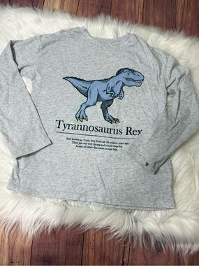 H&M Tyrannosaurus Rex Long Sleeve Graphic T-Shirt - Boys Size 8/10